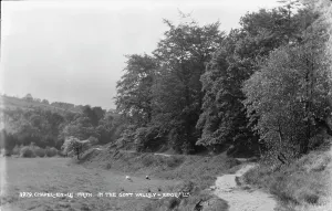 Grazing Prints: Chapel-en-le-Frith in the Goyt Valley