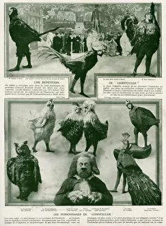Eugene Gallery: Characters from the play Chantecler by Rostand, 1910