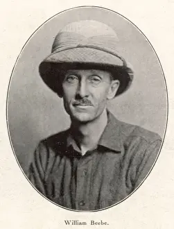 Charles Beebe