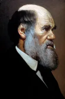 Evolution Prints: Charles Darwin (1809-1882)