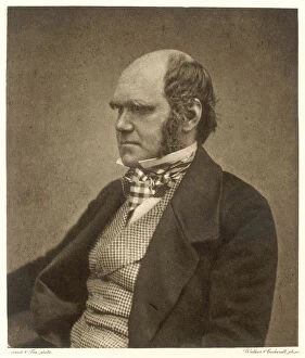 Images Dated 25th October 2019: Charles Darwin