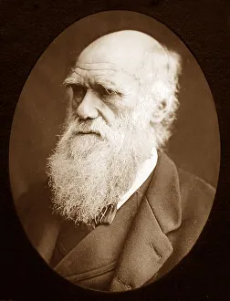Darwin Prints: Charles Darwin