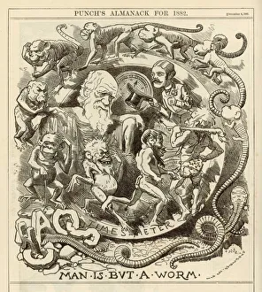 Darwin Gallery: Charles Darwin