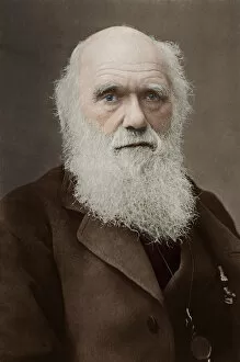 Darwin Gallery: Charles Darwin - English Naturalist
