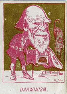 Controversy Collection: Charles Darwin humorous caricature, Darwinism