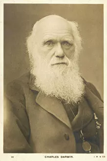 Naturalist Gallery: Charles Darwin / Photo