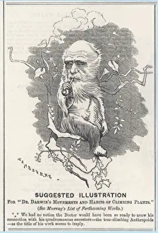 1809 Prints: Charles Darwin as a tree-climbing anthropoid