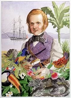 Images Dated 11th June 2007: Charles Darwin during his voyage on the Beagle