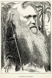 Jungle Prints: Charles Darwin as a wild man of the jungle