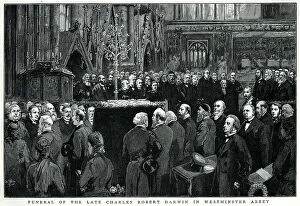 Images Dated 15th June 2018: Charles Darwin's funeral 1882