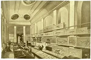 Hawkins Prints: Charles Moore's Free Museum in Bath