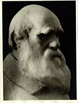 Naturalist Gallery: Charles Robert Darwin (1809-1881)