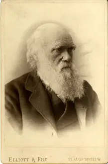 Charles Robert Darwin (1809-1881)
