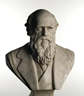 Charles Robert Darwin (1809-1881)