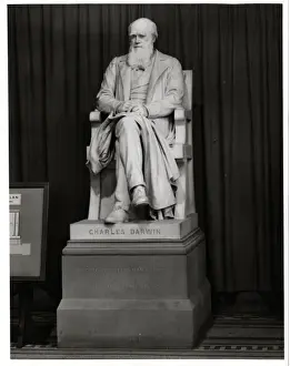 Charles Robert Darwin (1809-1881)