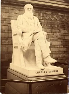 Charles Robert Darwin (1809-1881)