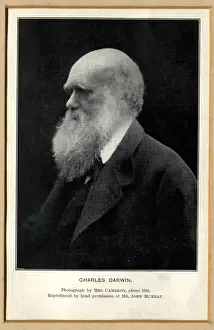 Charles Robert Darwin (1809-1881)