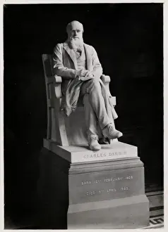 Charles Robert Darwin (1809-1882)