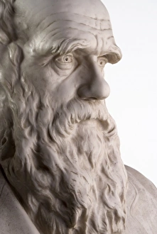 Darwin Gallery: Charles Robert Darwin (1809-1882)