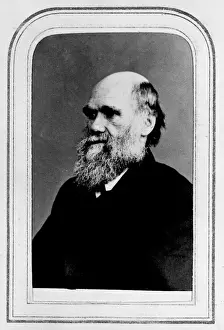 Charles Robert Darwin (1809-1882)