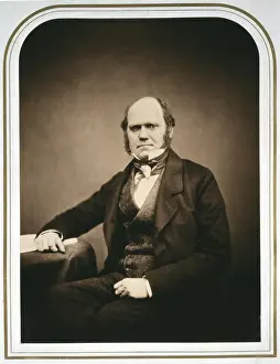 Charles Robert Darwin (1809-1882)