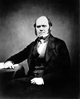 Charles Robert Darwin (1809-1882)