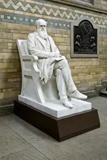 Charles Robert Darwin (1809-1882)