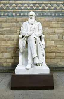 Charles Robert Darwin (1809-1882)