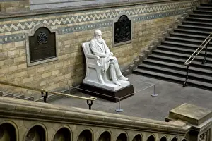 Charles Robert Darwin (1809-1882)