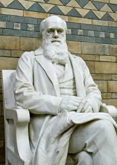 Charles Robert Darwin (1809-1882)