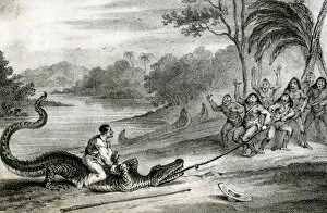 Images Dated 3rd January 2017: Charles Waterton, crocodile wrestling