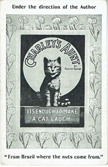 Aunt Collection: Charleys Aunt by Brandon Thomas