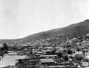 Barbados Prints: Charlotte Amalia, St. Thomas, West Indies 1873