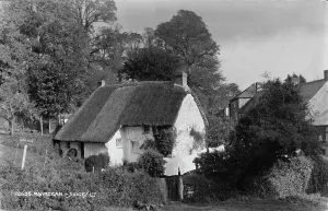 Quaint Prints: Charming Thatched Cottage