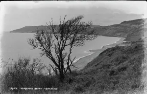 Charmouth Beach View