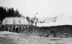 Stalk Prints: A Charring Stalk, Sweden - early 1900s