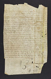 Appears Collection: Charter (Fragment)
