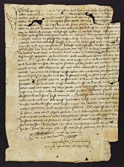 Appears Collection: Charter (Fragments)
