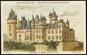 Chateau D usse