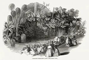 Aquatic Gallery: Chatsworth House - Conservatory 1846