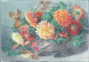 Arrangement Collection: Chaysanthemums'. Flowers