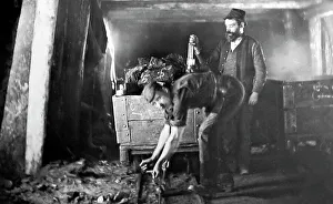 Checking Prints: Checking the haulage line on a coal wagon in a coal mine