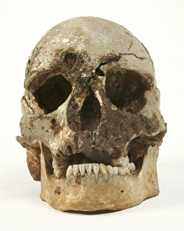 Cheddar Man Cheddar Man