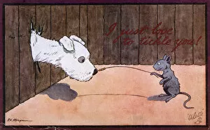 Images Dated 21st June 2018: A cheeky mouse tickles a scruffy white dogs nose