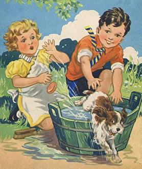 Escapes Gallery: Cheeky young Puppy avoids bathtime