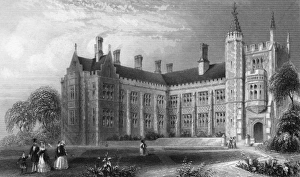 Tuberculosis Collection: Chelsea Consumption Hospital