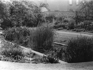 Physic Prints: Chelsea Physic Gardens
