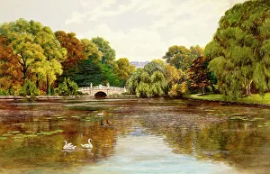 Glos Prints: Cheltenham, Gloucestershire