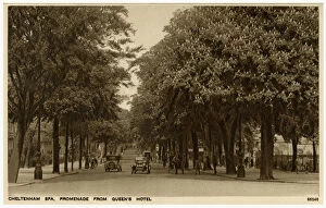 Bloom Collection: Cheltenham, Gloucestershire - Promenade from Queens Hotel