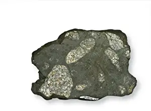 Stone Meteorite Prints: Chergach meteorite